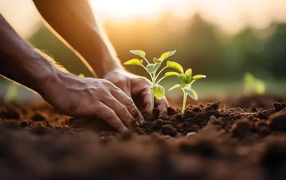 Lavandería Ecológica en Villavicencio