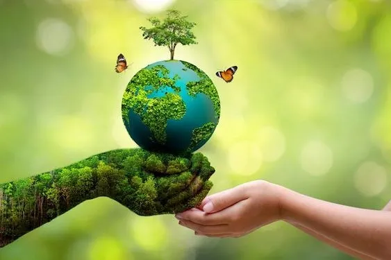 Cuidemos el planeta - Ecolavando lavandería Villavicencio