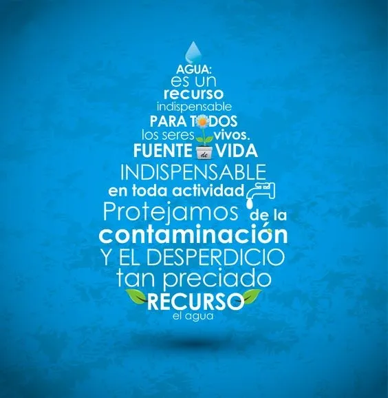 Cuidemos el planeta - Ecolavando Villavicencio