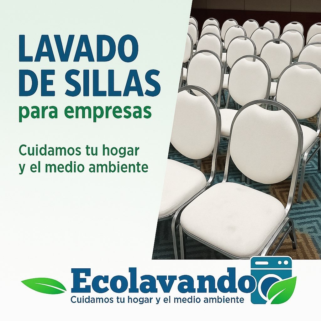 Servicios de lavado para empresas Lavado de sillas